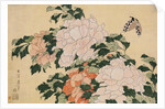 Pink and Red Peonies Blown to the Left in a Breeze and a Butterfly by HOKUSAI