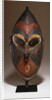 A Lower Sepik Mask by Anonymous