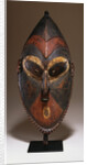 A Lower Sepik Mask by Anonymous