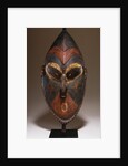 A Lower Sepik Mask by Anonymous