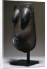 A Makonde Body Mask by Anonymous