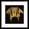 Southern Cheyenne Warrior's Shirt Adorned with Quillwork, Paint and Hair by Anonymous