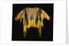Southern Cheyenne Warrior's Shirt Adorned with Quillwork, Paint and Hair by Anonymous