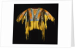 Southern Cheyenne Warrior's Shirt Adorned with Quillwork, Paint and Hair by Anonymous