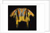 Southern Cheyenne Warrior's Shirt Adorned with Quillwork, Paint and Hair by Anonymous