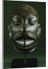 A Makonde Helmet Mask, Lipiko by Anonymous
