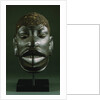 A Makonde Helmet Mask, Lipiko by Anonymous