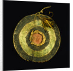 Arapaho Painted Hide Shield by Anonymous