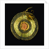 Arapaho Painted Hide Shield by Anonymous