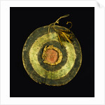 Arapaho Painted Hide Shield by Anonymous