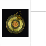 Arapaho Painted Hide Shield by Anonymous