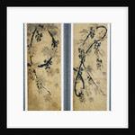 Grapes Vines by Anonymous