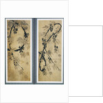 Grapes Vines by Anonymous