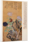 Flowers and Rocks by Tong Kai