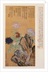 Flowers and Rocks by Tong Kai