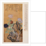 Flowers and Rocks by Tong Kai