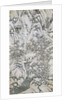 Bottom Half of Mountain Stream Under Snow by Shen Zhou