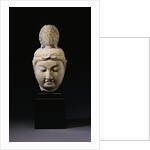 A Gray Stone Head of a Bodhisattva. Tang Dynasty by Anonymous