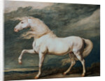 Adonis, King George III's Favorite Charger by James Ward