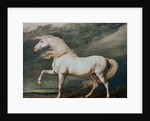 Adonis, King George III's Favorite Charger by James Ward