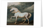 Adonis, King George III's Favorite Charger by James Ward