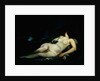 Sleeping female nude by Gustave Courbet