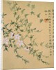 Flowers, from an Album of Ten Leaves by Zhou Xianji
