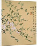 Flowers, from an Album of Ten Leaves by Zhou Xianji