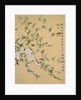 Flowers, from an Album of Ten Leaves by Zhou Xianji