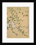 Flowers, from an Album of Ten Leaves by Zhou Xianji