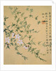 Flowers, from an Album of Ten Leaves by Zhou Xianji