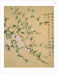 Flowers, from an Album of Ten Leaves by Zhou Xianji