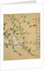 Flowers, from an Album of Ten Leaves by Zhou Xianji