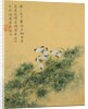 Flowers, from an Album of Ten Leaves (Butterflies) by Zhou Xianji