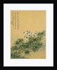 Flowers, from an Album of Ten Leaves (Butterflies) by Zhou Xianji