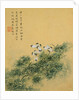 Flowers, from an Album of Ten Leaves (Butterflies) by Zhou Xianji