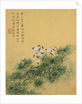 Flowers, from an Album of Ten Leaves (Butterflies) by Zhou Xianji
