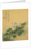 Flowers, from an Album of Ten Leaves (Butterflies) by Zhou Xianji