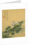 Flowers, from an Album of Ten Leaves (Butterflies) by Zhou Xianji