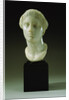 Greek Marble Head of a Woman, Circa 4th-3rd Century B.C.E. by Anonymous