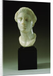 Greek Marble Head of a Woman, Circa 4th-3rd Century B.C.E. by Anonymous