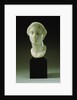 Greek Marble Head of a Woman, Circa 4th-3rd Century B.C.E. by Anonymous