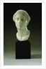 Greek Marble Head of a Woman, Circa 4th-3rd Century B.C.E. by Anonymous