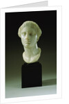 Greek Marble Head of a Woman, Circa 4th-3rd Century B.C.E. by Anonymous
