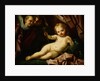 The Infant Christ Reclining Before a Red Curtain, with Two Angels by Giovanni Andrea Sirani