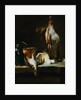 A Ray-Fish, a Basket of Onions, a Green Jug, a Copper Pot, a Chicken, a Wheel of Cheese, Eggs and a Mortar and Pestle on a Stone Ledge by 18th Century French Artist by Anonymous