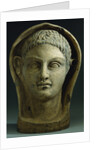 An Etruscan Terracotta Votive Male Head, Circa 4th-3rd Century B.C. by Anonymous