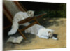 Painting of Two White Persian Cats With a Ladybug by Arthur Heyer