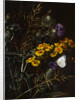 Thistles and Daisies by Johan Laurentz Jensen