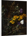 Thistles and Daisies by Johan Laurentz Jensen
